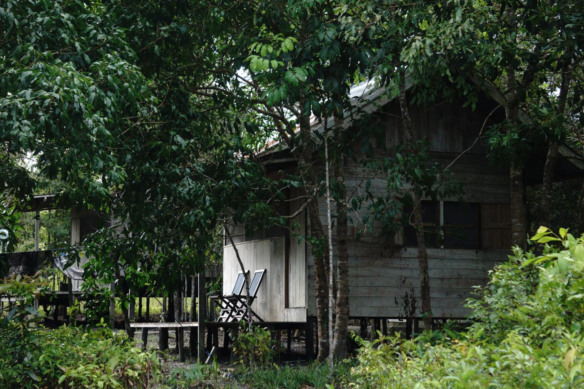KumaiOrangutan & Restoration Camp别墅 外观 照片