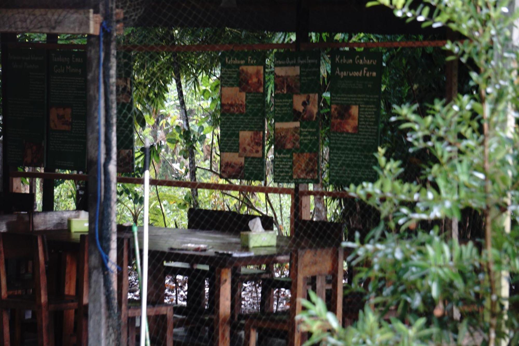 KumaiOrangutan & Restoration Camp别墅 外观 照片