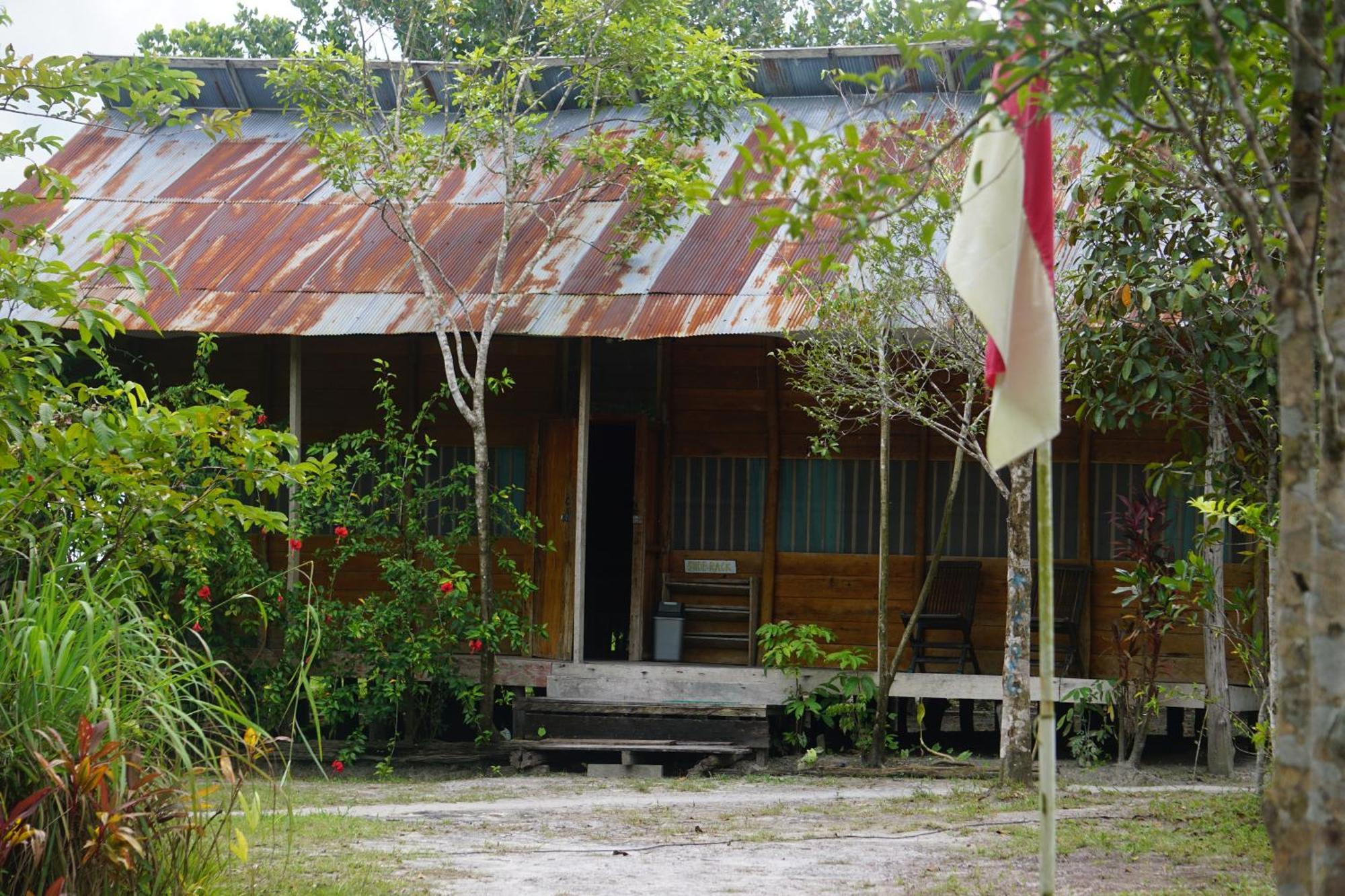 KumaiOrangutan & Restoration Camp别墅 外观 照片